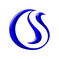 CSS